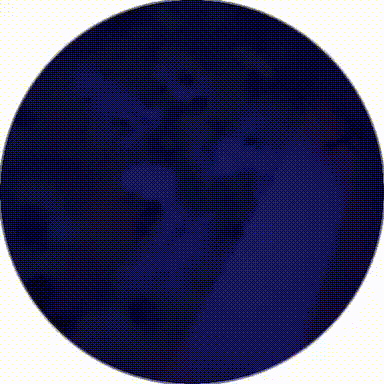 video11 (1).gif