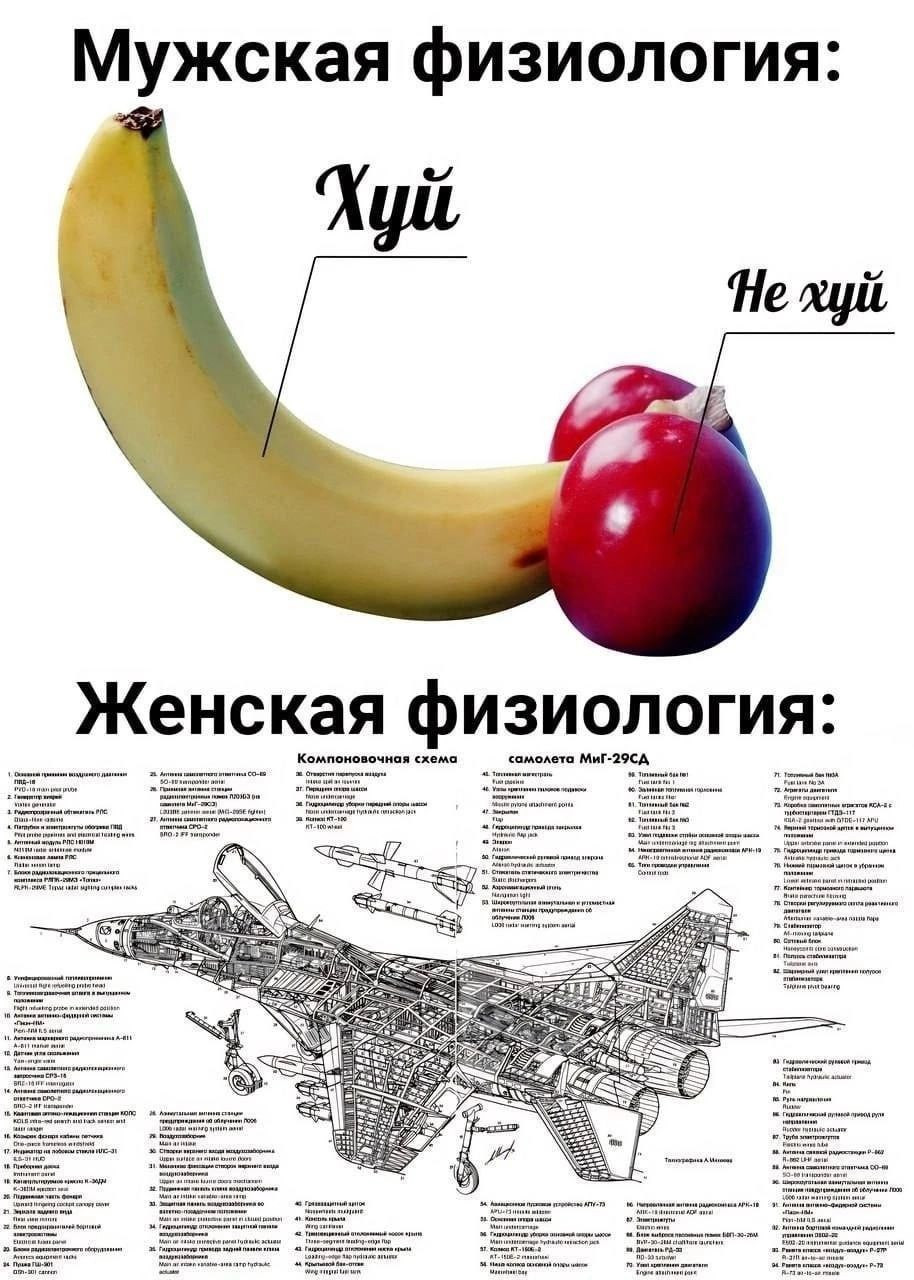 31abe3889176.jpg